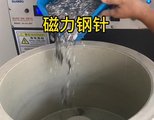 都昌不锈钢箍用钢针